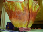 DSCN0197
