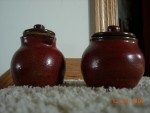 DSCN0231