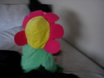 DSCN3701