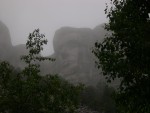 DSCN0646