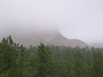 DSCN0653