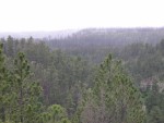 DSCN0666