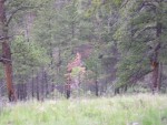 DSCN0668