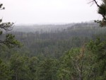 DSCN0671