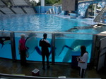 DSCN3135