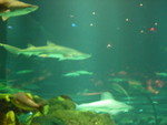 DSCN3147