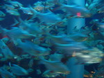 DSCN3148