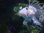DSCN3153