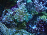 DSCN3154