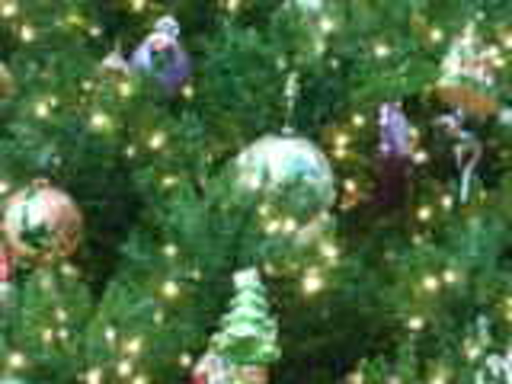 tree_spinning_and_hangin_from_the_tree