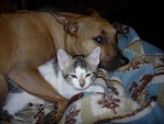 DSCN0088