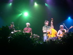 A String Cheese Incident-shows