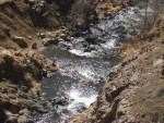 DSCN1194
