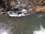 DSCN1196