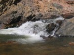 DSCN1198