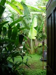 Hawaii_001
