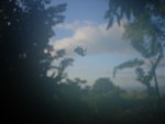Hawaii_002
