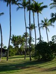Hawaii_012