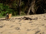 Hawaii_031