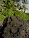 Hawaii_038