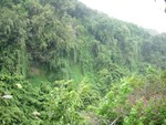 Hawaii_063