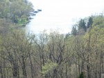 JANETTE_S_TRIP_TO_THE_OZARKS_015