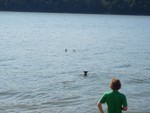 JANETTE_S_TRIP_TO_THE_OZARKS_017