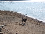 Janette at the Ozarks