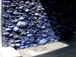DSCN0587