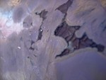 DSCN0611