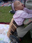 DSCN3354