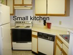 Small_kitchen