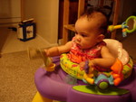 DSCN2641