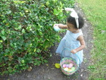 DSCN4504