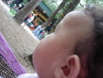 DSCN3582