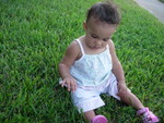 DSCN3288