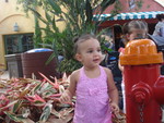 DSC01570