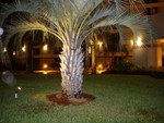 florida_with_mike_003