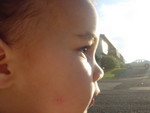 DSCN5196