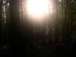 DSCN0318