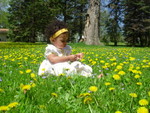DSCN5008