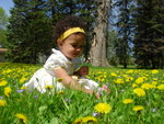 DSCN5011