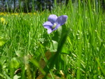 DSCN5013