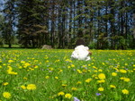 DSCN5017